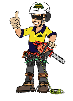 Rodriguez Tree Trimming Services