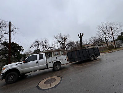 Trash and Brush Removal