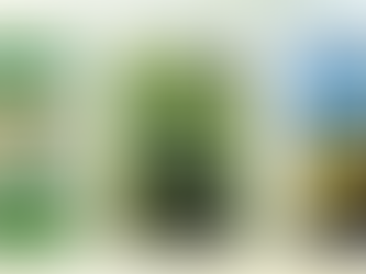 We Salute You, Bill!