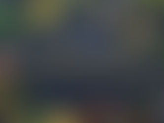 Lovely Lunch for Ladies Fellowship