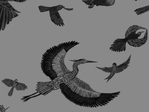 Praying for Mission around the world