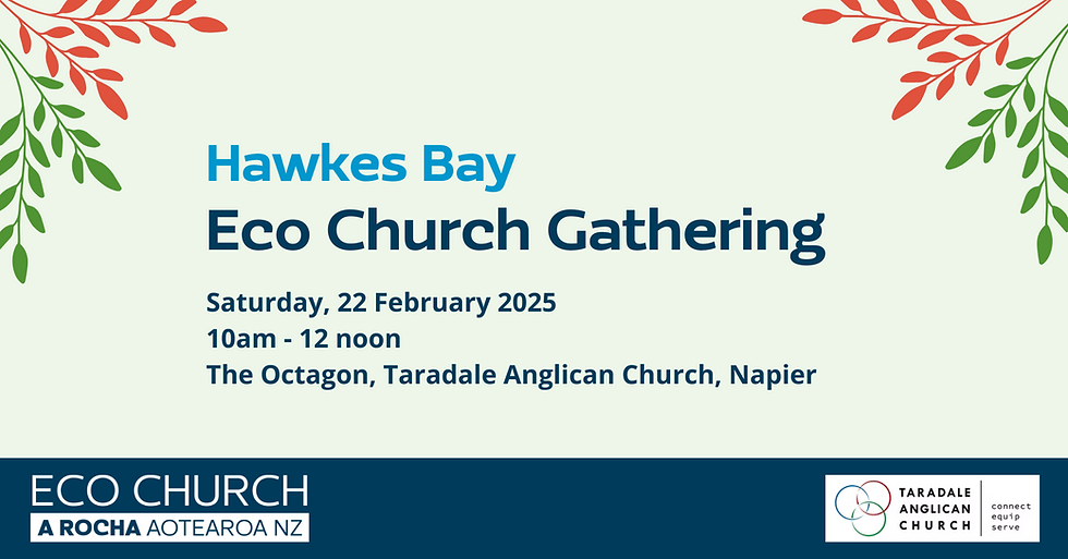 Hawkes Bay Eco Church Gathering
