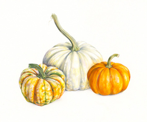 3_pumpkins.jpg