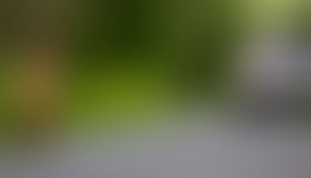 Abandono de Animais é Crime e Pode Levar à Prisão