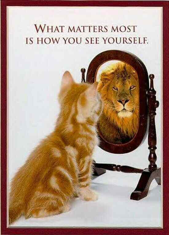 confidence-is-key.jpeg