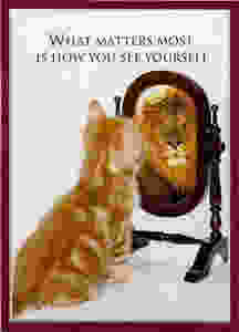 confidence-is-key.jpeg
