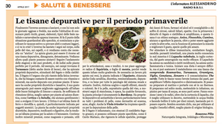 Le tisane primaverili