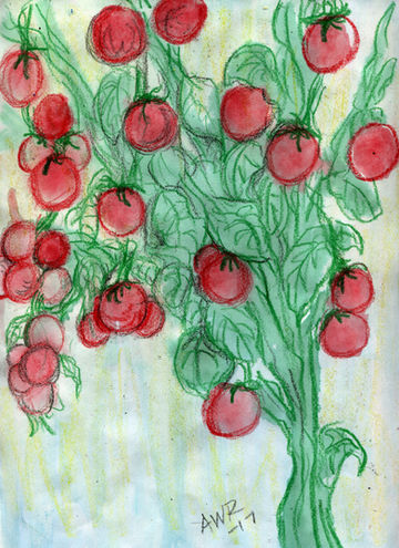 tomatoes.jpg