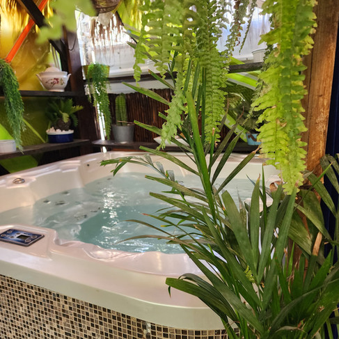 גקוזי באחוזת שאול ליד הים