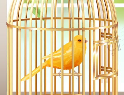 Oiseau dans une cage dorée, illustrant le danger des ralliements - Le Sel de la terre