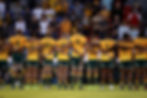 Wallabies.jpg