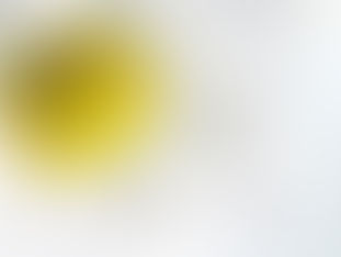 The Land of Ladyhood