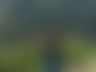 Learning to Love Hiking Solo