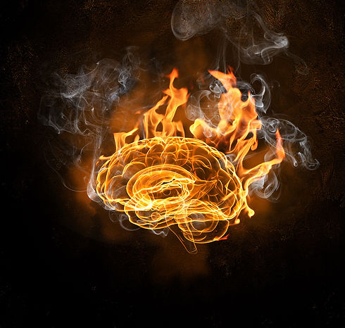 AdobeStock_55216042.jpeg