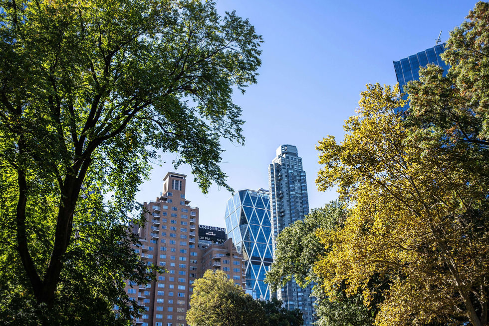 Photo of a NYC park during the day, symbolizing space for reflection and growth in South Asian therapy for low self-esteem in NYC | therapy for low self esteem nyc - south asian therapy nyc - south asian therapist nyc