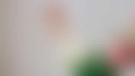 Close-up of pink and white flowers, symbolizing growth and healing supported by South Asian therapy for emotionally unavailable parents in NYC | emotionally unavailable parents in nyc - south asian therapy nyc - south asian therapist nyc