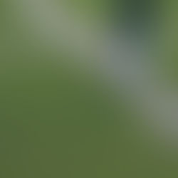 Person walking toward a fork in a grassy path, symbolizing a life transition and the choice to seek burnout treatment in denver, co. A supportive act therapist denver, co can offer therapy for burnout in denver and steady guidance through this season.