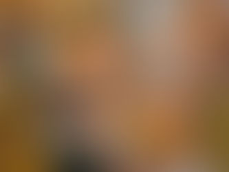 Scenic fall trees reflected in a calm body of water, symbolizing the balance and healing offered by a postpartum therapist in Des Plaines, IL, for fathers experiencing paternal postpartum depression in Des Plaines, IL. Des Plaines, IL | Northwest Des Plaines, IL | Cumberland Highlands, IL