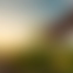 A hand gently holding a green plant leaf in a sunlit field at sunrise, symbolizing growth and nervous system regulation through somatic therapy in san diego, ca. This image reflects somatic healing in san diego, ca and the grounded, body-based focus of somatic work for trauma in san diego, ca guided by a skilled somatic therapist in san diego, ca.