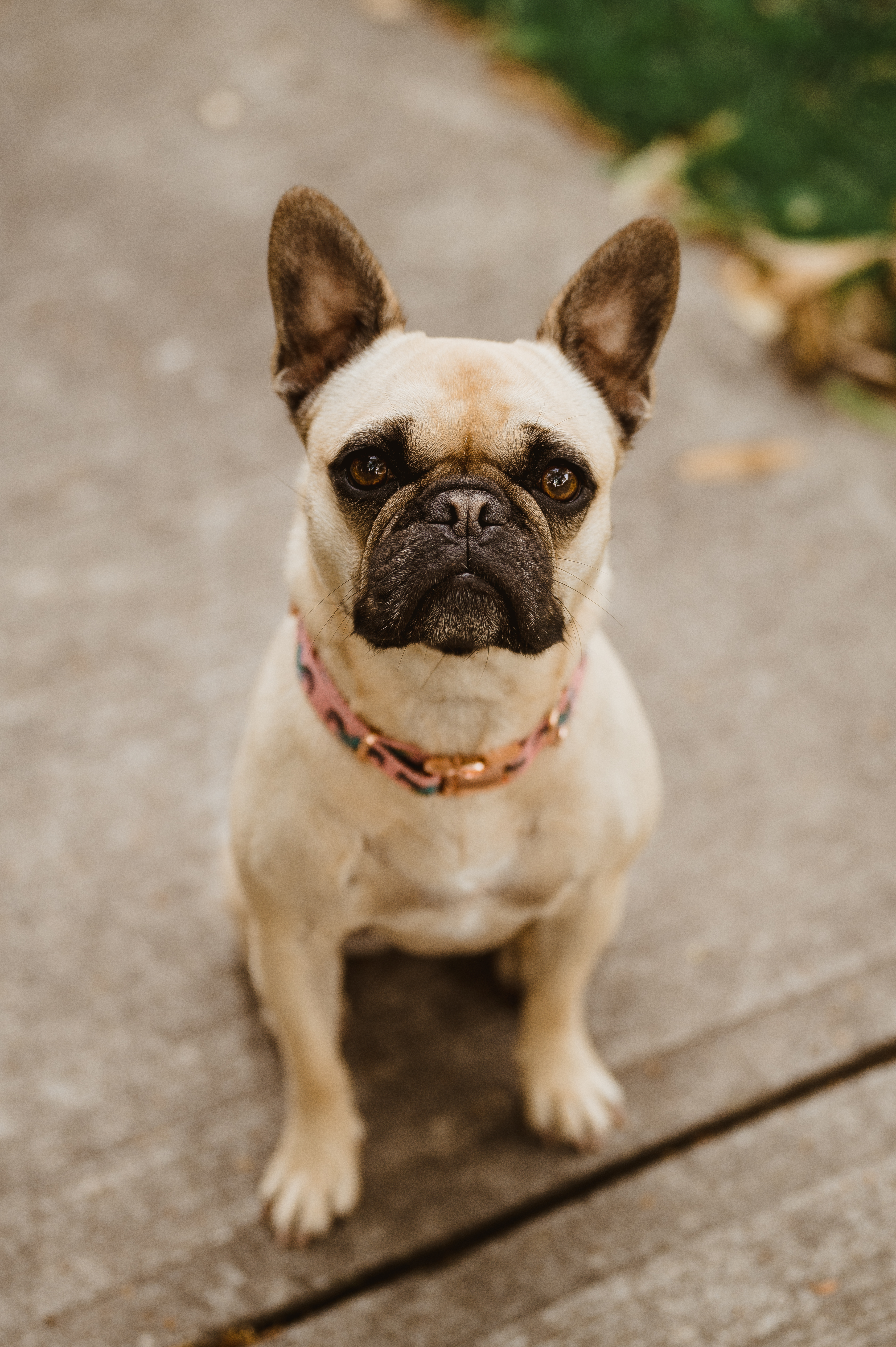 FAVE Tiff headshots-16.jpg
