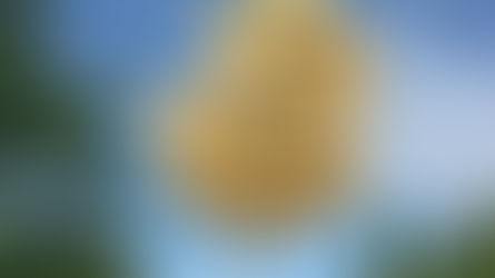 What is outsourced marketing?