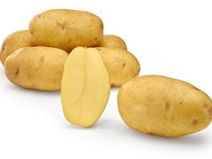 Patata siembra Edison