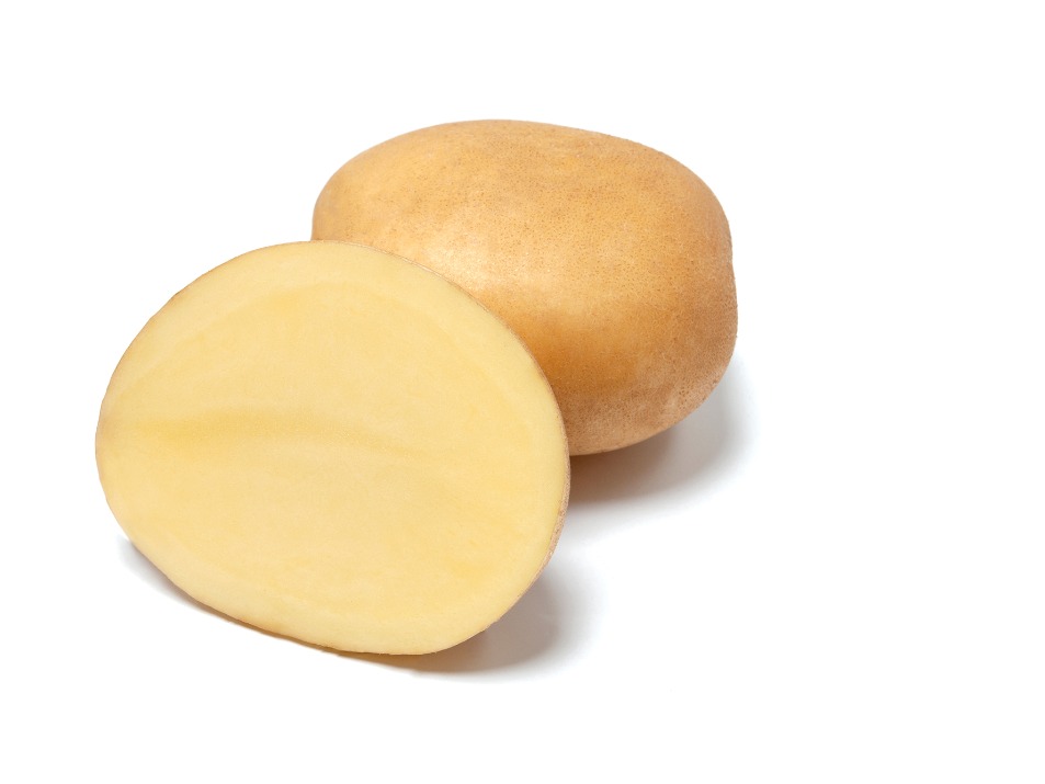 Batata semente Varuna