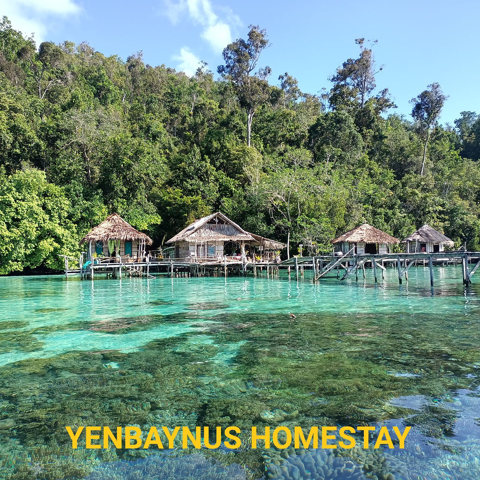 Yenbaynus Homestay