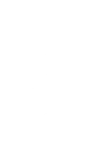 荒井遼