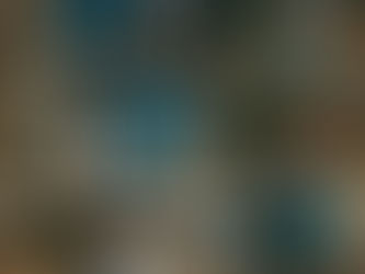 I've worked with this family every year for the last 6 years!