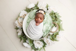 Regina Newborn Photos