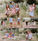 Outdoor Summer Family Photos - Regina