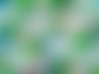 Dino Cake Smash Theme for Mr. Jack! 🦖