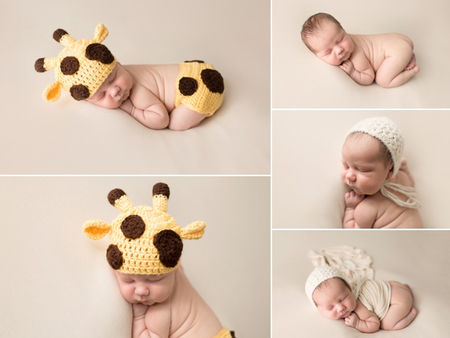 Baby Giraffe in the photography studio!