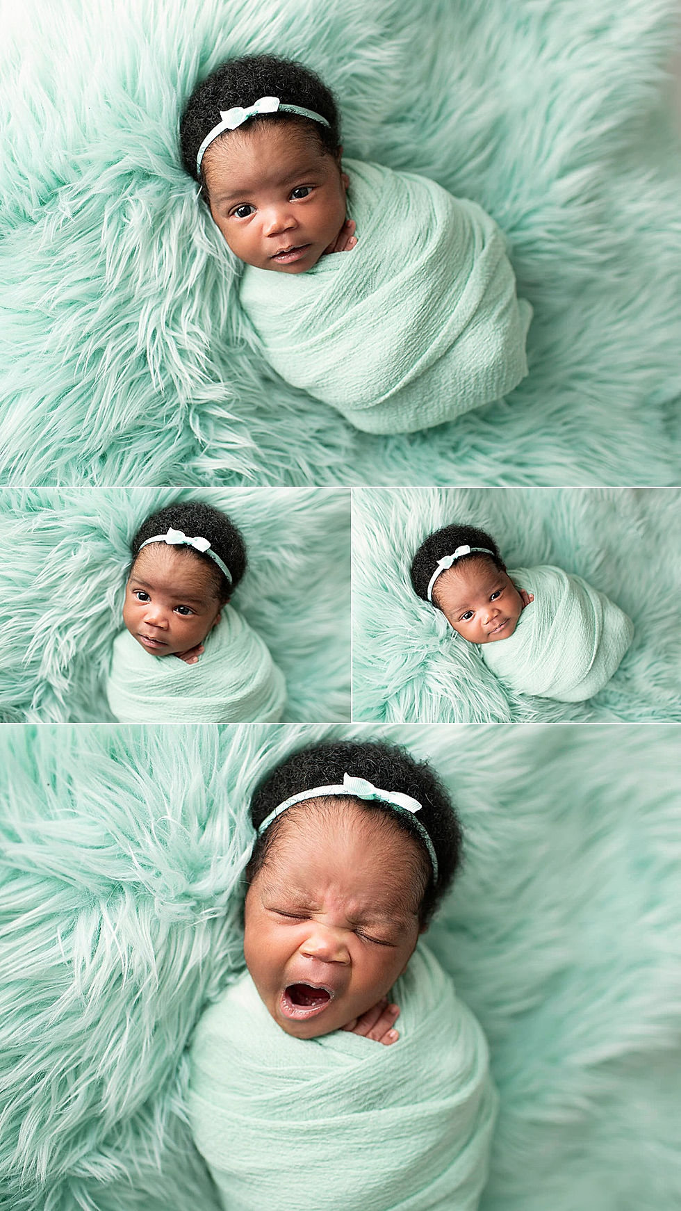 Regina Newborn Photographer