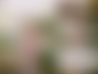 Amanda's gorgeous floral maternity gown!