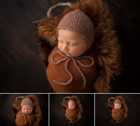 newborn photographer regina