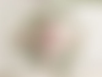 Baby Allie - Floral Baby Newborn Girl