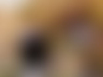 Fall Family Photos are best photographed in September or October