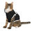 Thumbnail: Stylish Pet Hoodie for Cozy Moments | Perfect for Cat Lovers, Cute Cat Apparel