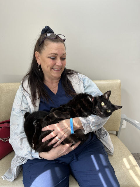 Audubon Family Veterinary Center NJ Cat Wellness