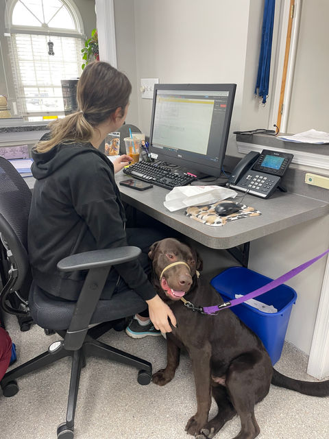 Audubon Family Veterinary Center NJ