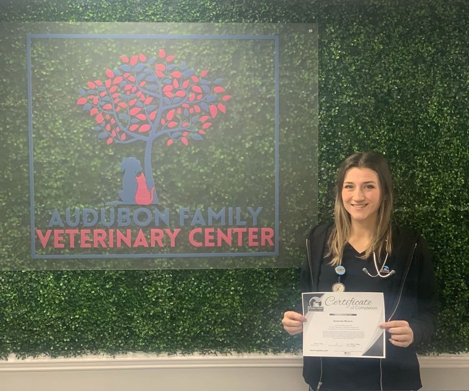 Audubon Family Veterinary Center New Jersey Fear Free