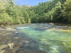 Kupa