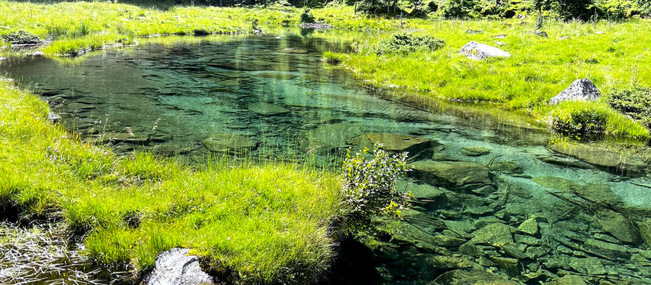 Fischen wie "früher"! Die heile Welt im Gebirgsbach