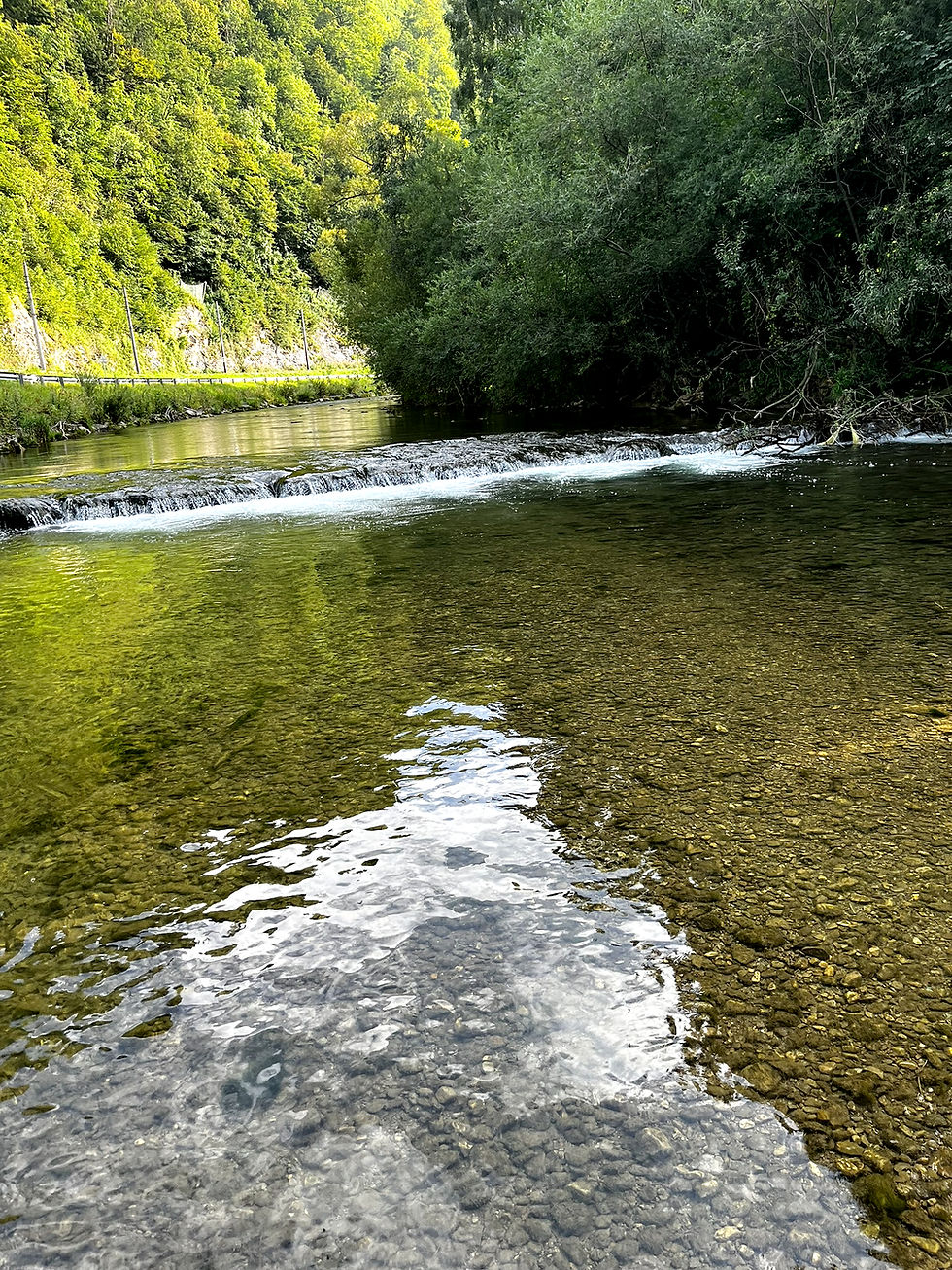 Neulich an der Pielach. Die Entspannung trat erst am Ende ein...