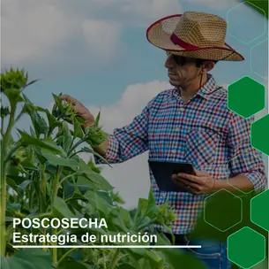 La nutrición de poscosecha es clave para una agricultura sostenible.