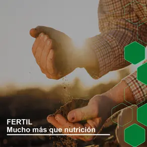 FERTIL | MUCHO MÁS QUE NUTRICIÓN