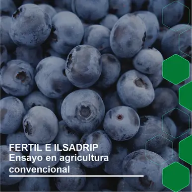FERTIL E ILSADRIP | ALTERNATIVAS PARA AGRICULTURA CONVENCIONAL.