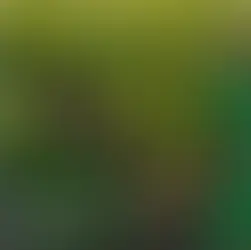 Nutrición Poderosa | El proceso de producción de los abonos líquidos de ILSA